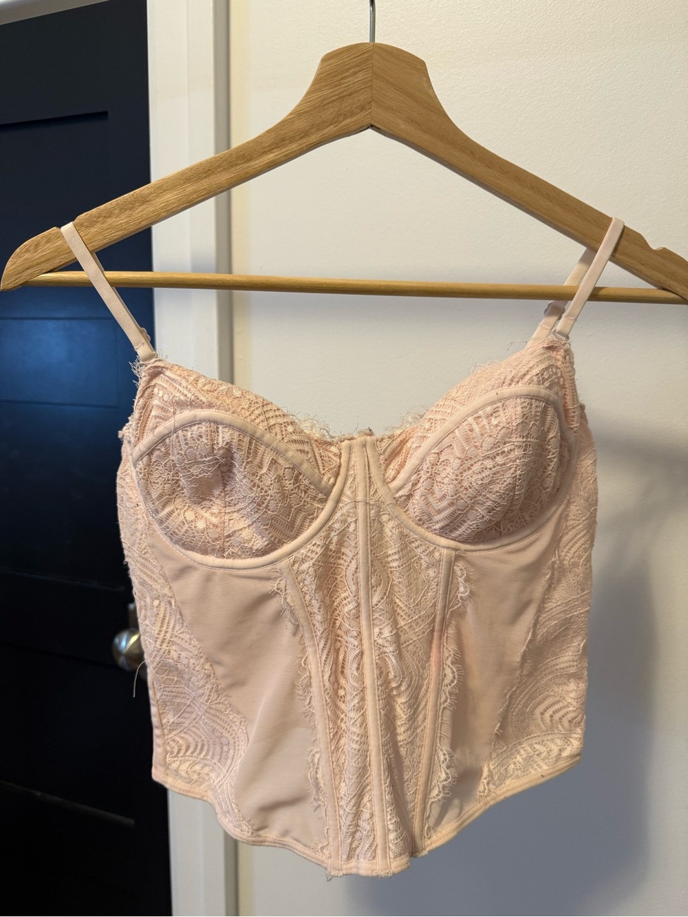 Garage Lace Longline Bustier Corset in Blush Pink